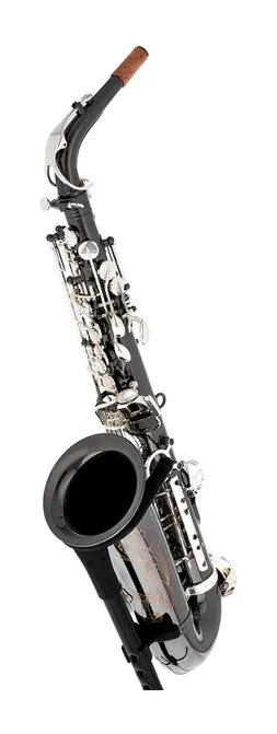 Thomann ASBBS Custom Line Alto Sax