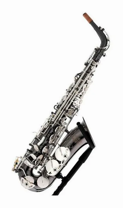 Thomann ASBBS Custom Line Alto Sax, vue 4