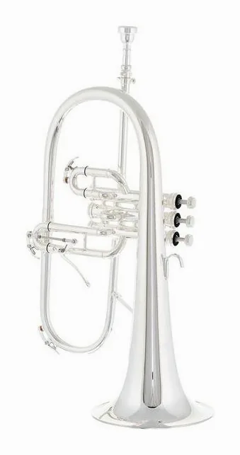 Thomann FH-1000S Flugelhorn, vue 2