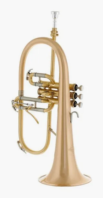 Thomann FH-1000SL Flugelhorn, vue 2