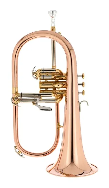Thomann FH 600 G Bb-Flugelhorn Set