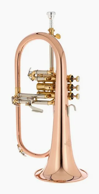 Thomann FH 600 G Bb-Flugelhorn Set, vue 2