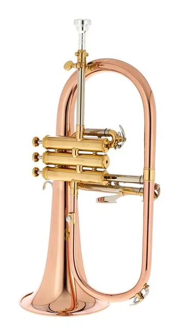 Thomann FH 600 G Bb-Flugelhorn Set, vue 3