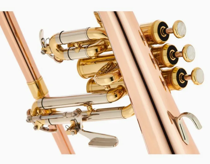 Thomann FH 600 G Bb-Flugelhorn Set, vue 4