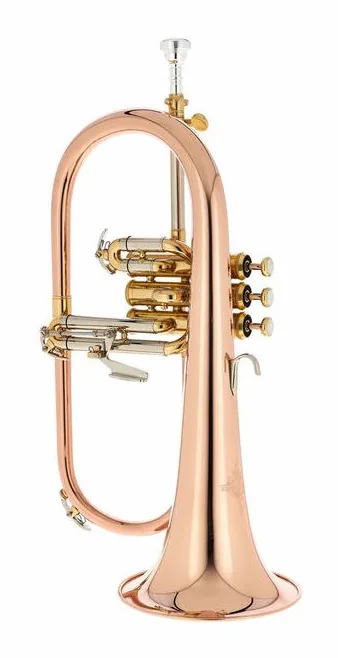 Thomann FH 600 G Bb-Flugelhorn, vue 2