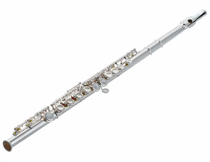 Thomann FL-1000 CE Flute Set 2, vue 2