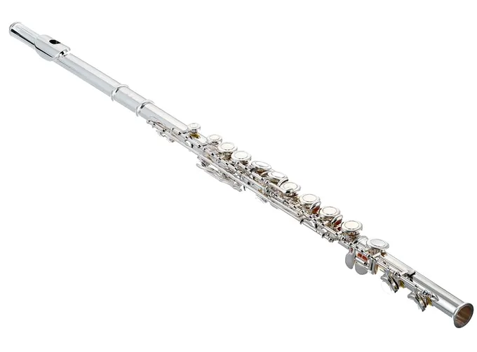 Thomann FL-1000 CE Flute Set 2, vue 3