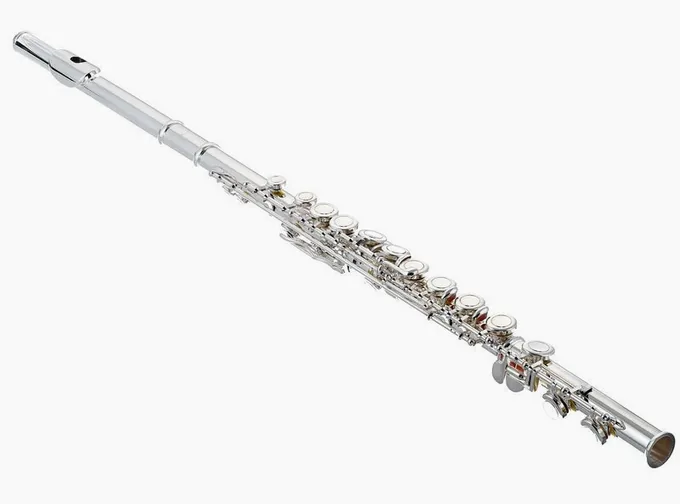 Thomann FL-1000 CE Flute, vue 4