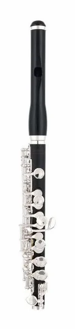 Thomann PFL-400H Piccolo Flute Synthet, vue 2