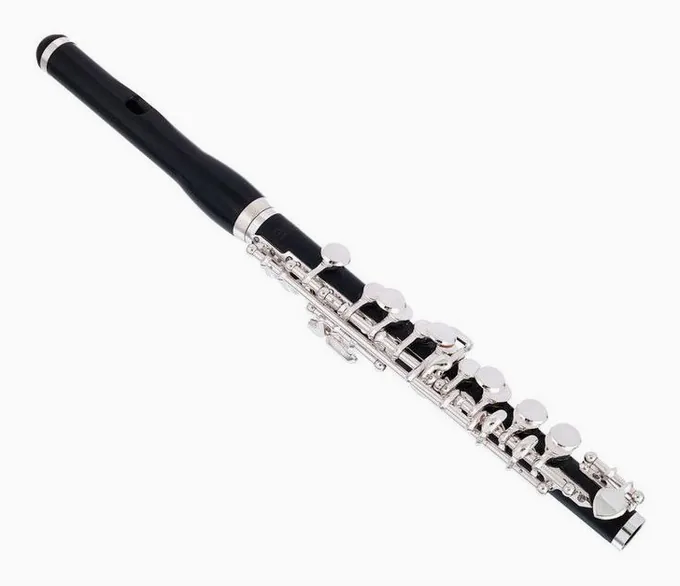 Thomann PFL-400H Piccolo Flute Synthet, vue 3