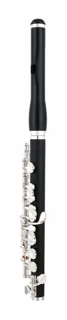 Thomann PFL-400H Piccolo Flute Synthet, vue 4