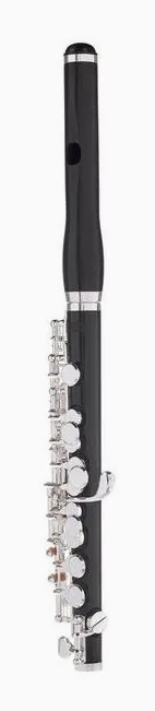 Thomann PFL-600H Piccolo Flute, vue 2
