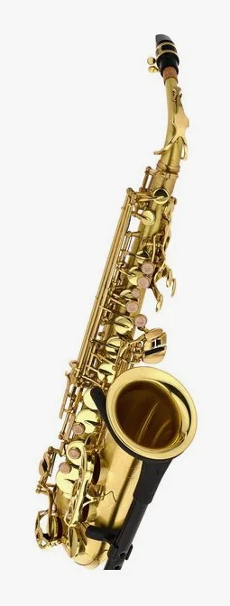 Thomann TAS-180 Matt Alto Sax, vue 3