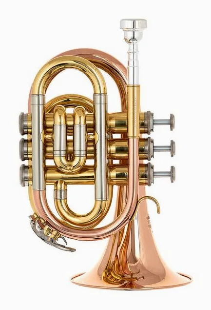 Thomann TR 25G Bb-Pocket Trumpet