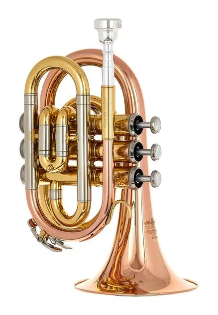Thomann TR 25G Bb-Pocket Trumpet, vue 2
