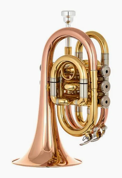 Thomann TR 25G Bb-Pocket Trumpet, vue 3