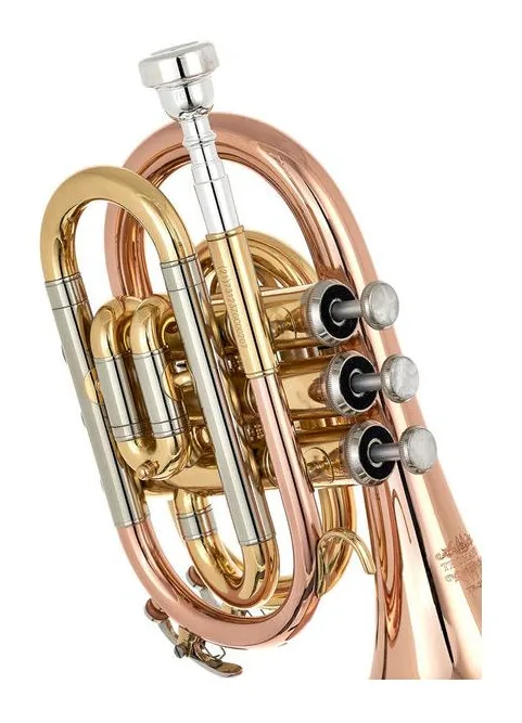 Thomann TR 25G Bb-Pocket Trumpet, vue 4