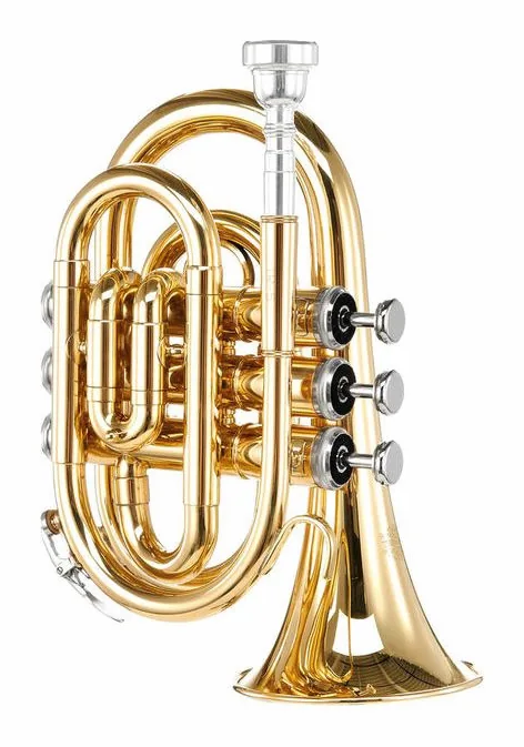Thomann TR 5 Bb-Pocket Trumpet Set