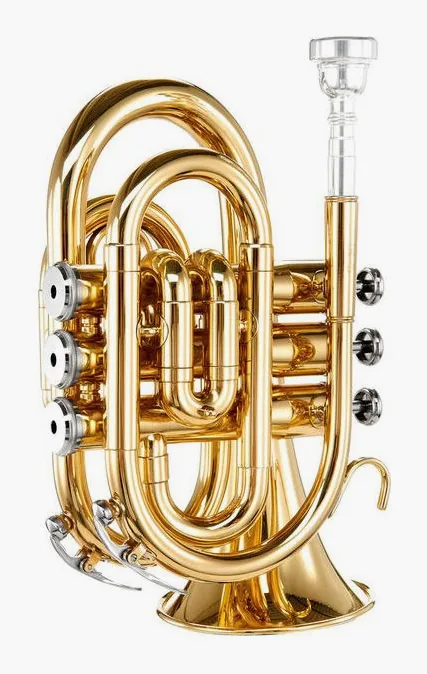 Thomann TR 5 Bb-Pocket Trumpet Set, vue 2