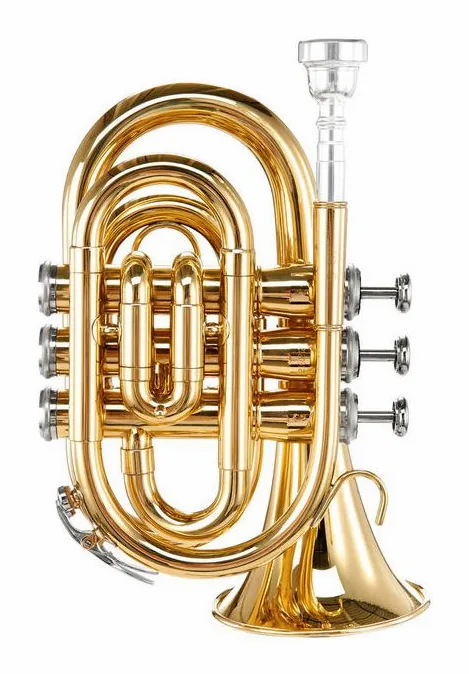 Thomann TR 5 Bb-Pocket Trumpet Set, vue 3