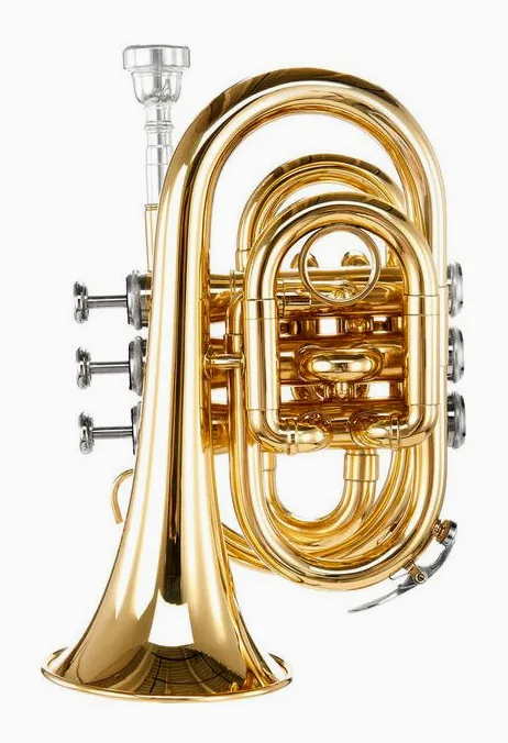 Thomann TR 5 Bb-Pocket Trumpet Set, vue 4