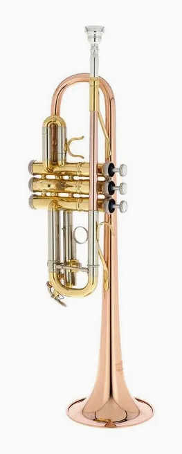 Thomann TR-600 GM C-Trumpet, vue 2