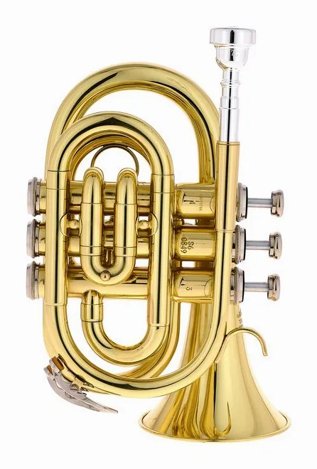 Thomann TR 5 Bb-Pocket Trumpet, vue 2