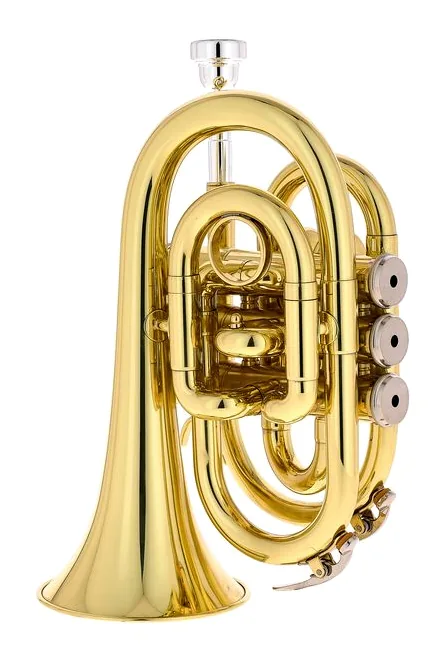 Thomann TR 5 Bb-Pocket Trumpet, vue 3