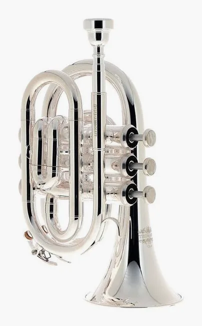Thomann TR 5 SI Bb-Pocket Trumpet, vue 2