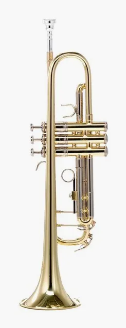 Thomann TR 620 L Bb-Trumpet, vue 2