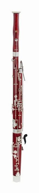 Thore Bassoon Student, vue 2