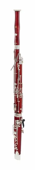 Thore Bassoon Student, vue 3