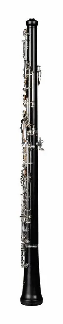 Thore Moderato Oboe, vue 2