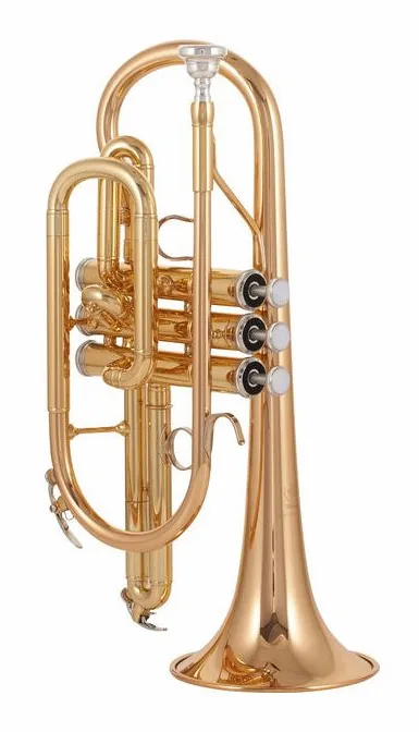 Yamaha YCR-4330 GII 02 Cornet, vue 2