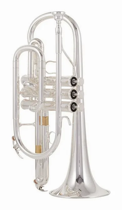 Yamaha YCR-4330 GSII 02 Cornet, vue 2