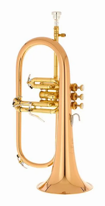 Yamaha YFH-8310 ZG 02 Flugelhorn, vue 2