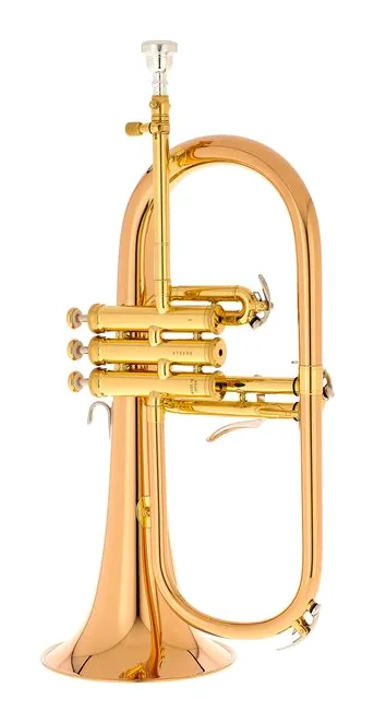 Yamaha YFH-8310 ZG 02 Flugelhorn, vue 3