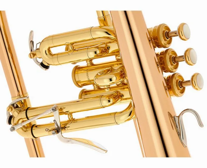 Yamaha YFH-8310 ZG 02 Flugelhorn, vue 4