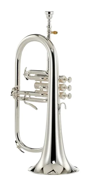 Yamaha YFH-8310 ZGS 02 Flugelhorn, vue 2