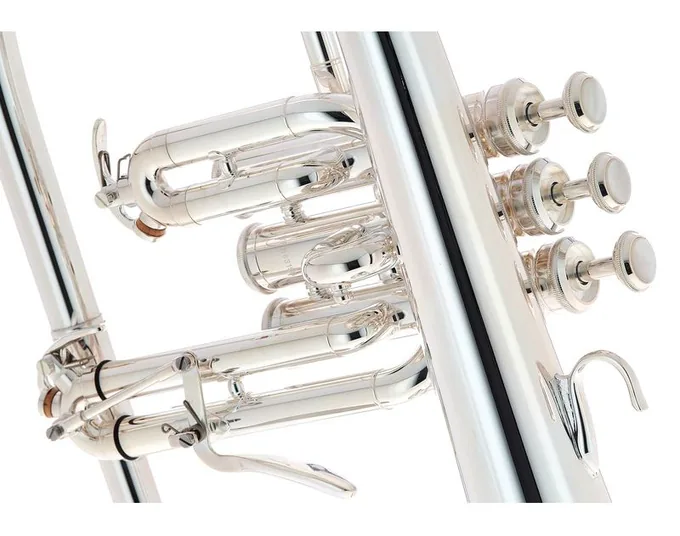 Yamaha YFH-8315 GS 02 Flugelhorn, vue 4