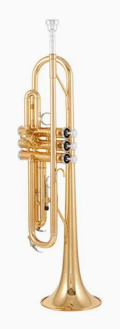 Yamaha YTR-2330 Trumpet Set, vue 2