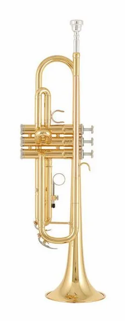 Yamaha YTR-3335 Trumpet Set, vue 2