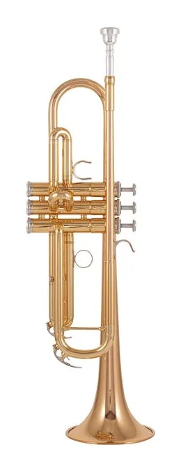 Yamaha YTR-4335 GII Bb- Trumpet