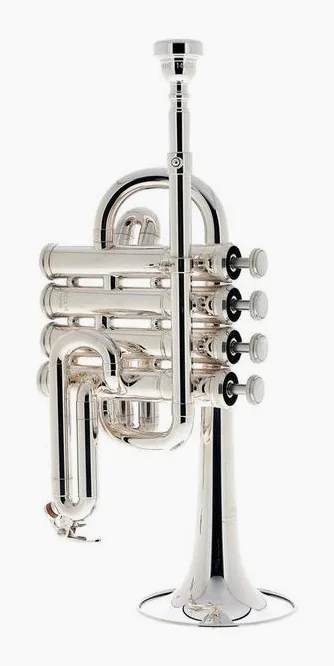 Yamaha YTR-6810 S Trumpet, vue 2