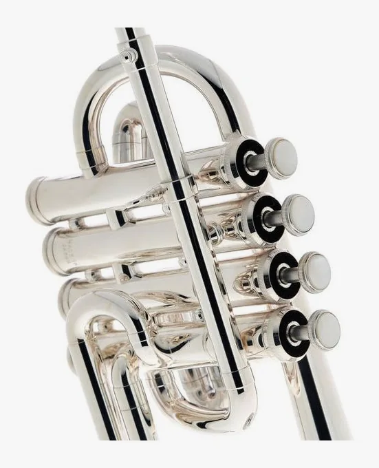 Yamaha YTR-6810 S Trumpet, vue 4