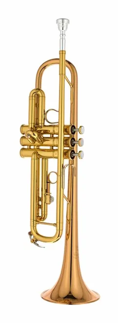 Yamaha YTR-8335EA Trumpet, vue 2