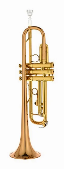 Yamaha YTR-8335EA Trumpet, vue 3