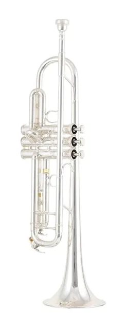Yamaha YTR-8335GS 04 Trumpet, vue 2