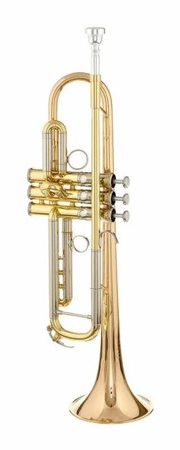 Yamaha YTR-8335RG 04 Trumpet, vue 2