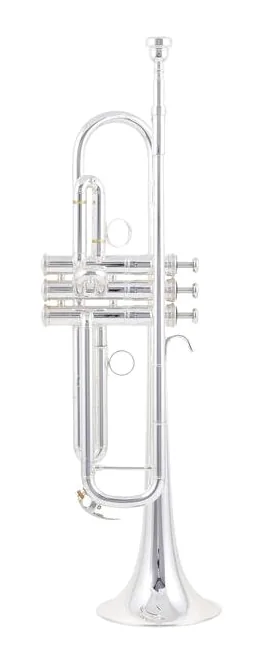 Yamaha YTR-8335RGS 04 Trumpet